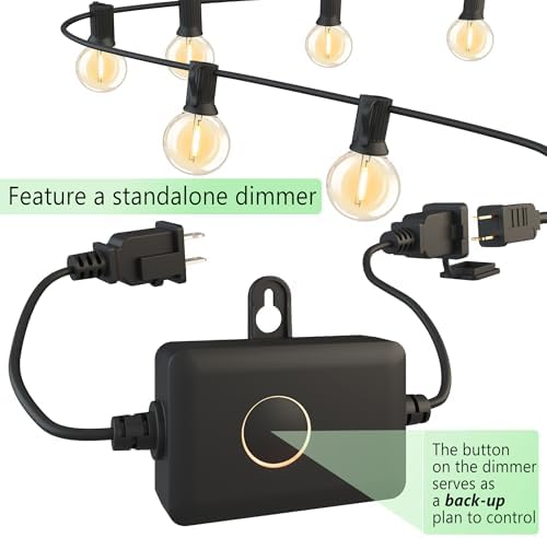 Outdoor String Lights 30FT 28 Bulbs(1 FT Apart) Remote Lighting for Patio - Image 3