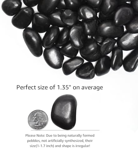 10 lbs Black River Rocks - Large Polished Black Pebbles for Plants & Garden Decorative Stones，1-2" Polished Pebbles for Landscaping, Fish Tanks, Flower Pots, Water Fountains - Image 2