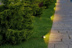 GKOLED LED Brass Well Lights, 12V In Ground Light Outdoor, IP67 Waterproof Low Voltage Landscape Lighting with MR16 Bulb and Swivel Base, 5W 140LM 2700K, Up Light for Garden Trees Bushes, Beacon Top - Image 7