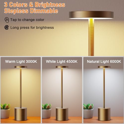 LED Cordless Table Lamp Rechargeable,Battery Powered Outdoor Lights - Image 2