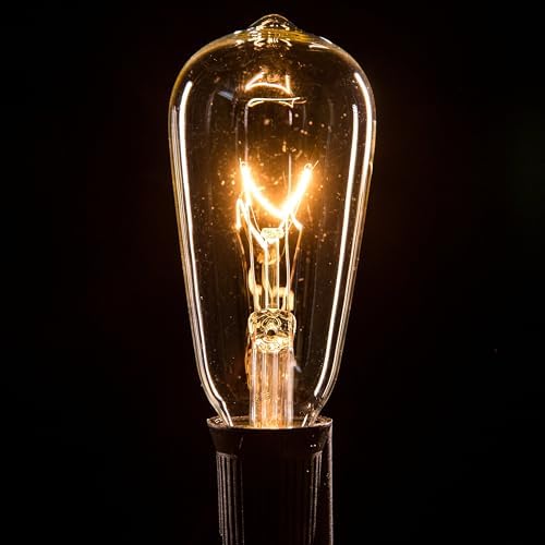 Vintage Edison Outdoor String Lights (ST40 Clear - Black Wire, 25 ft) - Image 5