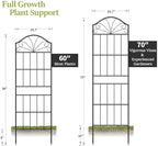 VOXOR Metal Trellis for Climbing Plants Outdoor, 70 * 19.7 Inch Tall Garden Trellis with Black Rustproof Coating, Decorative Rose Trellis for Climbing Roses, Vines, and Flowers, 2 Pack - Image 6