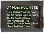 Preserved Reindeer Moss Natural Green DIY Kit Gardenning Art Wall Decor Florist Decor Easter Table Decor Wedding - Image 2