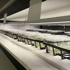 Active Grow Integrated Dual T8 4FT LED Grow Light - T8 Grow Lights for Indoor Plants, Propagation, Leafy Greens & Microgreens - 38W - Sun White Full Spectrum High CRI 95 - Linkable - 120-277V - Image 4