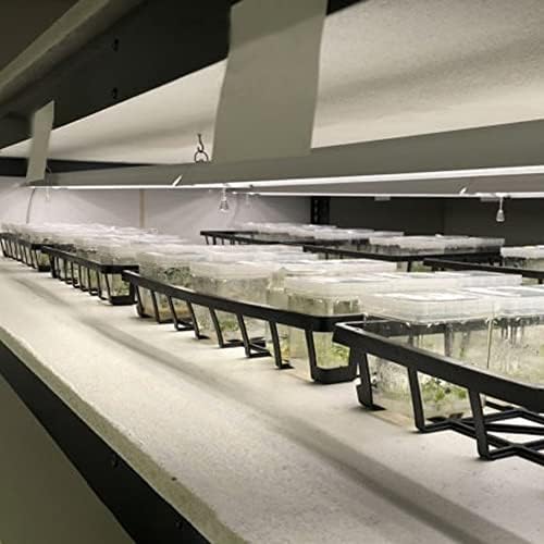 Active Grow Integrated Dual T8 4FT LED Grow Light - T8 Grow Lights for Indoor Plants, Propagation, Leafy Greens & Microgreens - 38W - Sun White Full Spectrum High CRI 95 - Linkable - 120-277V - Image 4