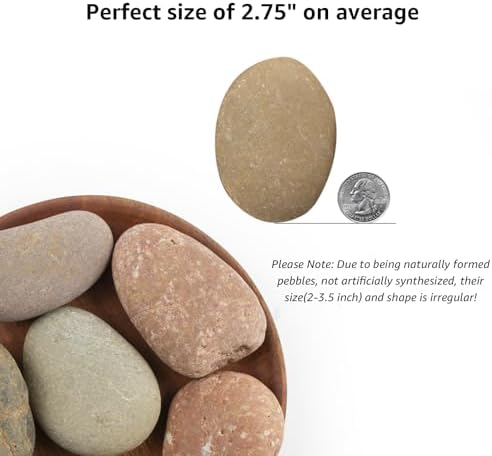 40 LBS Large Natural River Rocks – 2-3.5 Inch Unpolished Decorative Pebbles for Landscaping, Garden Paving, Fish Tanks, Plant Rocks, Crafting, Walkways, and Painting - Image 2