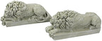 Design Toscano Lions from the Vatican Sculptures - Image 4