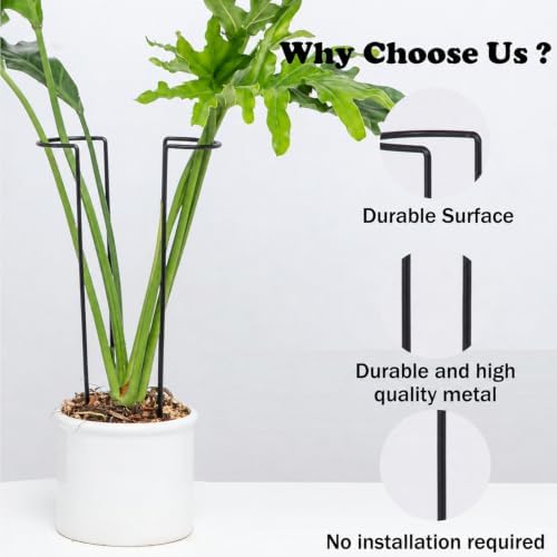 15.5" 10 Pack Large Iron Monstera Trellis - Heavy-Duty Plant Supports - Image 5