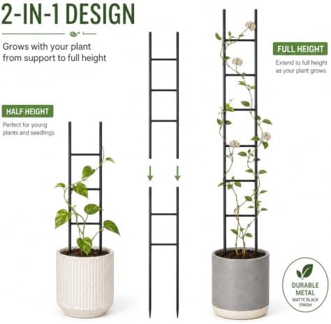 2PCS Indoor Plant Trellis, Sturdy Ladder Trellis for House Plant - Image 5