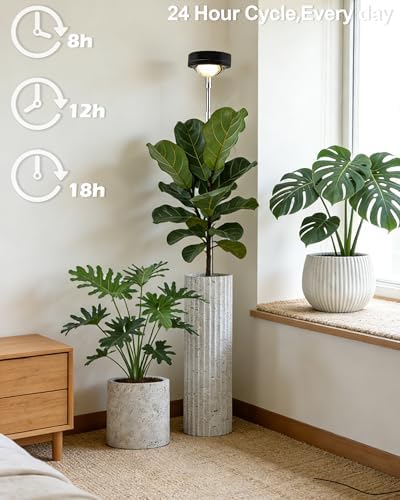yadoker Plant Grow Light, LED Growing Light Full Spectrum for Indoor Plants,Black Magnifying Glass Plant Lights,Height Adjustable, Automatic Timer, 5V Low Safe Voltage,Idea for Large - Image 5