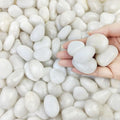 FANTIAN 20 lbs White Pebbles for Indoor Plants, 0.8-1.2 inch Small River Rocks for Plants. Decorative White Stones for Planters Vase Fish Tank and Outdoor Garden Landscaping Rocks by FANTIAN-GardeningMakesLifeBetter