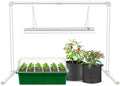 Wolezek 2FT T5 Grow Lights for Seed Starting, 32W Full Spectrum by WOLEZEKLED