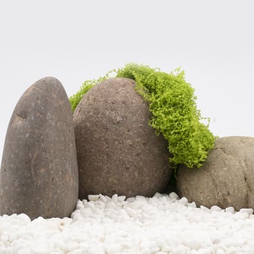 40 LBS Natural River Rocks – 3–4 Inch Decorative Stones for Landscaping, Aquariums, Gardens, Yard Paving, Large Planters, Walkways, and Rock Painting - Image 5