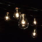 Vintage Edison Outdoor String Lights (PS50 Clear - Black Wire, 10 ft) - Image 4