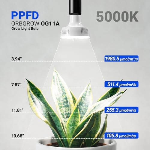 Barrina OG11A Grow Light Bulbs for Indoor Plant, 5000K 11W, 4 Packs, White - Image 2