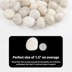 20lbs River Rocks - 1-2Inch Decorative Rocks for Potted Plants, River Rocks for Aquariums, and White Rocks for Landscaping (Weight : 20 LB, White) - Image 2