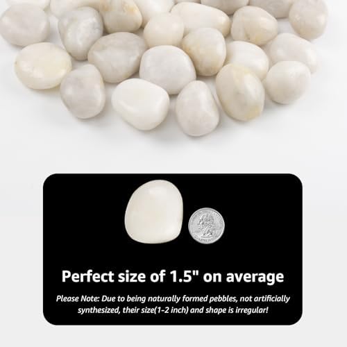 20lbs River Rocks - 1-2Inch Decorative Rocks for Potted Plants, River Rocks for Aquariums, and White Rocks for Landscaping (Weight : 20 LB, White) - Image 2