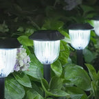 AOSEA Bright White Outdoor Solar Lights, 10 Pack, Cool White, IP65 by AOSEA