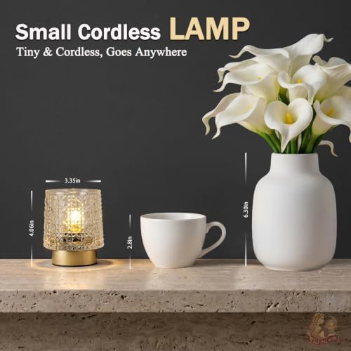 MJ PREMIER Battery Operated Lamp,Small Cordless Lamp with Timer, Clear-05 - Image 5