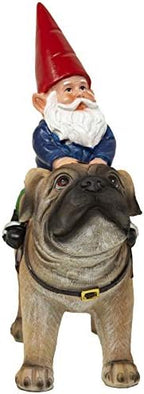 Funny Guy Mugs Garden Gnome Statue - Gnome Riding a Pug - Indoor/Outdoor Garden Gnome Sculpture for Patio, Yard or Lawn - Image 4