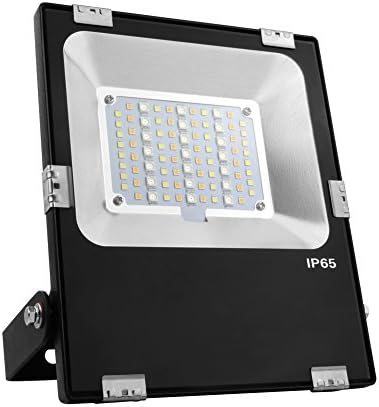 LGIDTECH 30W RGB+CCT LED Landscape Flood Light AC100-240V Color Changing 2700K-6500K Color Temperature Adjustable,Dimmable,Memory Function by LGIDTECH