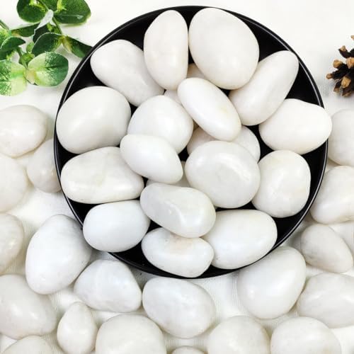 YISZM 20lbs White River Rocks, 1-2 Inch Natural Pebbles for Indoor Plants, High Polished Decorative Stones Vase Filler Fish Tank Aquariums Landscaping Garden Outdoor and Indoor DIY by YISZM-ForYourNaturalLife
