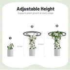 Umbrella Top Garden Trellis for Climbing Plants Outdoor, 3.7FT Tall Obelisk - Image 5