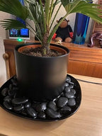 FANTIAN 20 lbs Black Stones for Landscaping, 0.8-1.2 Inch Rocks for Plants - Image 6
