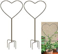2 Pack 34Inch Garden Trellis for Climbing Plants, Meatal Heart Shape Plant Support Decorative Plant Trellis Potted Vines Vegetables Flowers Rose Jasmine Pea Clematis Ivy Cucumbers by XMRSOY