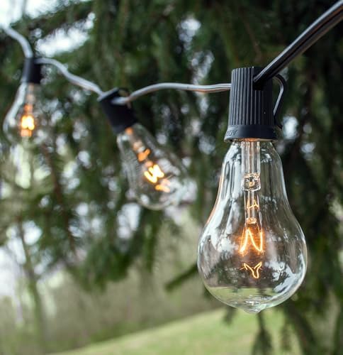 Vintage Edison Outdoor String Lights (PS50 Clear - Black Wire, 100 ft) - Image 3