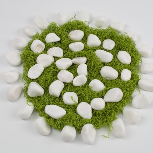 40 lbs White Polished Landscape Stones, 0.5-1 Inch Decorative Rocks for Gardens, Pathways, Pots, Vase Fillers, Aquarium Decoration, Glass Containers, and Yard Borde (Pure White, Weight: 40 LB) - Image 4