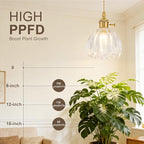 Hanging Grow Lights for Indoor Plants, 12W Full Spectrum 98+ CRI Grow Lamp, Dual CCT 3000K/4000K, Dual Switches, Pulley Height Adjustable, 13.12FT Cord, Petal Glass Plant Light for Indoor Flowers - Image 4
