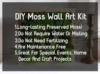Preserved Reindeer Moss Natural Green DIY Kit Gardenning Art Wall Decor Florist Decor Easter Table Decor Wedding - Image 2