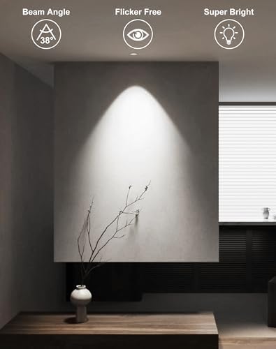 MR16 LED Bulbs 12-Pack 6000K Cool White 5W GU5.3 Spotlight Bulb, Non-Dimmable 38° Beam Angle for Landscape, Recessed, Track Lighting,Commercial Security & High Bay Lighting - Image 4