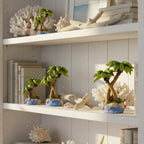 Set of 3 Mini Palm Tree Decor, Beach Ornaments - Image 3