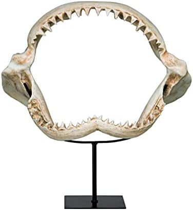 Design Toscano Shark's Jagged Jaws Statue - Image 2