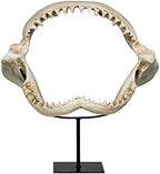 Design Toscano Shark's Jagged Jaws Statue - Image 2