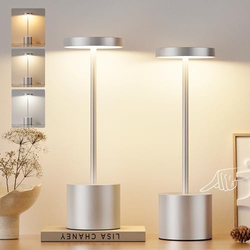 Kakanuo Silver Gray Cordless Lamp Set, Rechargeable Lamp, 3 Color Temperature, LED Outdoor Wireless Lamps, Battery Operated Lamps, Stepless Dimmable, Touch Control by KakanuoLightings