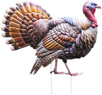 DoukeLiu Realistic Metal Tom Turkey Garden Stake, Thanksgiving Turkey Yard Sign Stake, Fall Harvest Outdoor Lawn Patio Thanksgiving Decoration(16 * 15 * 0.6in) by DuoKeLiu