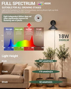 Bailoch Wall Mounted Grow Light for Indoor Plants, 4000K+660nm, 1-Pack - Image 6