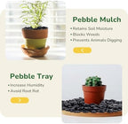 GreatBuddy Black Pebbles for Landscaping, 15 lbs, 1-2 Inch - Image 6