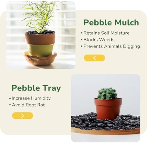 GreatBuddy Black Pebbles for Landscaping, 15 lbs, 1-2 Inch - Image 6