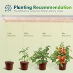 FREELICHT 1Pack 4FT Grow Light for Indoor Plants, Timer, 60W Full Spectrum - Image 4
