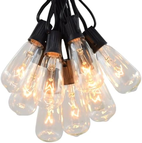 Vintage Edison Outdoor String Lights (ST40 Clear - Black Wire, 25 ft) by HometownEvolutionInc