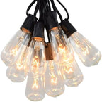 Vintage Edison Outdoor String Lights (ST40 Clear - Black Wire, 25 ft) by HometownEvolutionInc