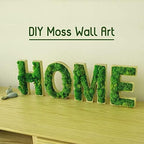 Preserved Reindeer Moss Natural Green DIY Kit Gardenning Art Wall Decor Florist Decor Easter Table Decor Wedding - Image 4