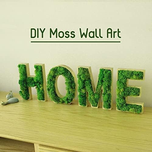 Preserved Reindeer Moss Natural Green DIY Kit Gardenning Art Wall Decor Florist Decor Easter Table Decor Wedding - Image 4