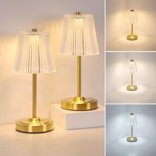 Shenmoyl Set of 2 Cordless Touch Table Lamp with 5200mAh Battery - 3 Adjustable Color Temperatures & Dimmable, Rechargeable Lamp for Bedsides, Living Room, Entryway, Bookshelves (Transparent Stripe) by Shenmoyl