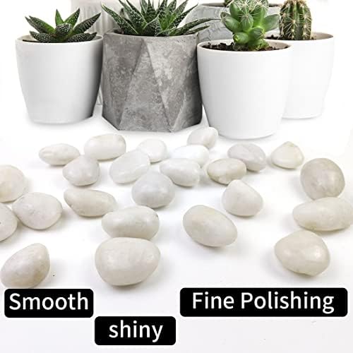 20LB White River Rocks,1-2.2 Inch Polished Pebbles for Plants, Decorative Stones for Landscaping. Succulents, Crafting,Fish Tank,Garden,Vase Filler, Outdoor Decoration - Image 3