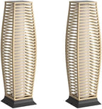 Wicker Solar Outdoor Floor Lamp Set of 2, Natural, Horizontal by Pationate
